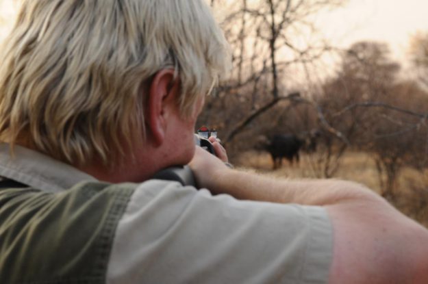 Buffalo - MARK DEDEKIND HUNTING SAFARIS