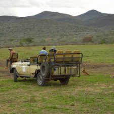MARK DEDEKIND HUNTING SAFARIS