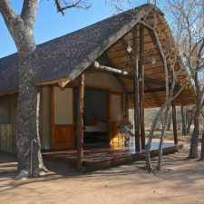 MARK DEDEKIND HUNTING SAFARIS
