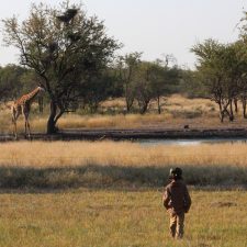 MARK DEDEKIND HUNTING SAFARIS