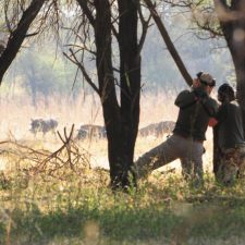 MARK DEDEKIND HUNTING SAFARIS