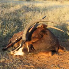 MARK DEDEKIND HUNTING SAFARIS