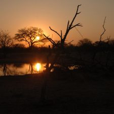 MARK DEDEKIND HUNTING SAFARIS