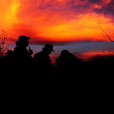 MARK DEDEKIND HUNTING SAFARIS